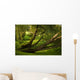 Weeping Willows Beautiful Nature Wall Mural