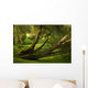Weeping Willows Beautiful Nature Wall Mural