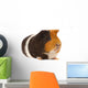 Portrait of a Guinea-Pig Wall Mural