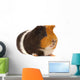 Portrait of a Guinea-Pig Wall Mural