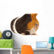 Portrait of a Guinea-Pig Wall Mural