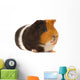 Portrait of a Guinea-Pig Wall Mural