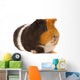 Portrait of a Guinea-Pig Wall Mural