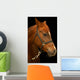 Portrait Horse Black