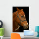 Portrait Horse Black