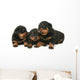 Baby Rottweilers Wall Decal