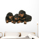 Baby Rottweilers Wall Decal