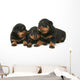 Baby Rottweilers Wall Decal