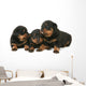 Baby Rottweilers Wall Decal