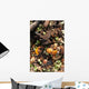 Kitchen waste on a compost heap Wall Mural