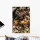 Kitchen waste on a compost heap Wall Mural