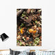 Kitchen waste on a compost heap Wall Mural