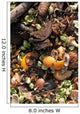 Kitchen waste on a compost heap Wall Mural