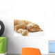 Ginger cat sleeping on bed Wall Decal
