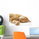 Ginger cat sleeping on bed Wall Decal