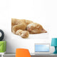 Ginger cat sleeping on bed Wall Decal