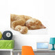 Ginger cat sleeping on bed Wall Decal