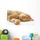 Ginger cat sleeping on bed Wall Decal