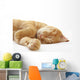 Ginger cat sleeping on bed Wall Decal