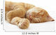 Ginger cat sleeping on bed Wall Decal
