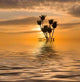 Sunrise Wall Decal Design 3