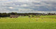 Farm Panorama Wall Decal
