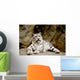 Snow Leopard Irbis Panthera Uncia Looking Ahead Wall Mural