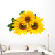 Sunflowers, isolated on a white background. Wall Decal