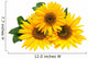 Sunflowers, isolated on a white background. Wall Decal