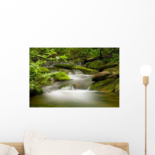 Riviere En Foret Wall Decal