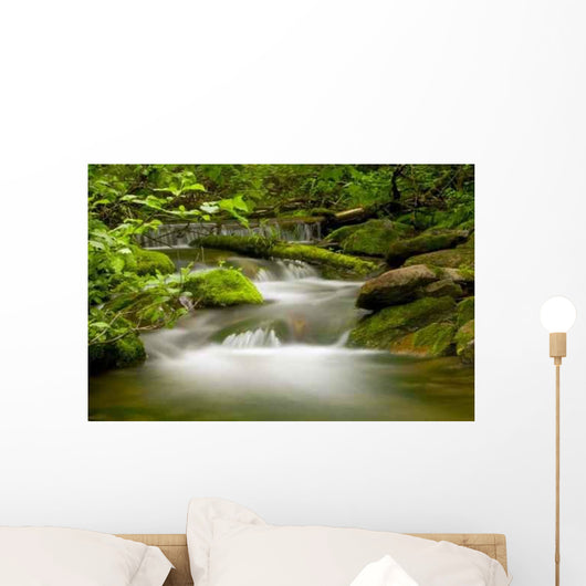 Riviere En Foret Wall Decal