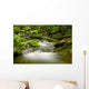 Riviere En Foret Wall Decal
