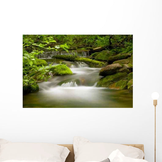 Riviere En Foret Wall Decal