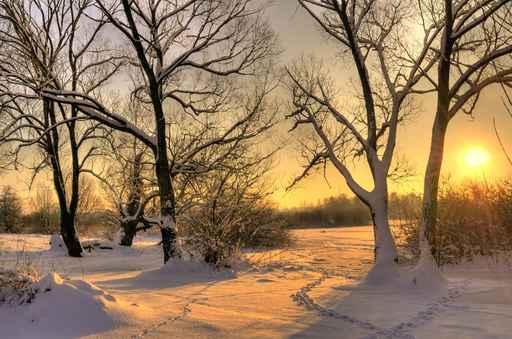 Beautiful Winter Sunset with Wall Decal