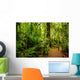 Tropical forest Wall Mural