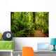Tropical forest Wall Mural