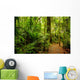 Tropical forest Wall Mural