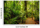 Tropical forest Wall Mural