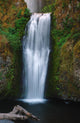 Mulnomah falls Wall Mural