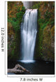 Mulnomah falls Wall Mural