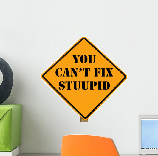 road sign stating you can't fix stupid Wall Decal