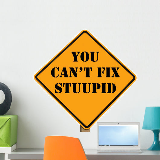 road sign stating you can't fix stupid Wall Decal