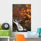 Autumn Leaves and Falls Wall Decal