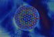 Flower of Life Wall Mural