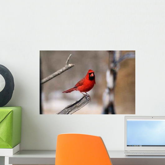 Portrait Cardinal Wall Decal