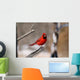 Portrait Cardinal Wall Decal