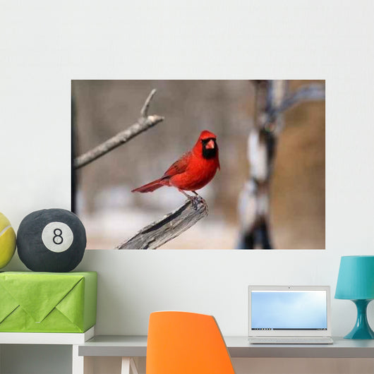 Portrait Cardinal Wall Decal
