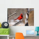 Portrait Cardinal Wall Decal