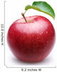 Ripe red apple with a leaf. Wall Decal