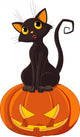 Halloween Cat on pumpkin Wall Decal